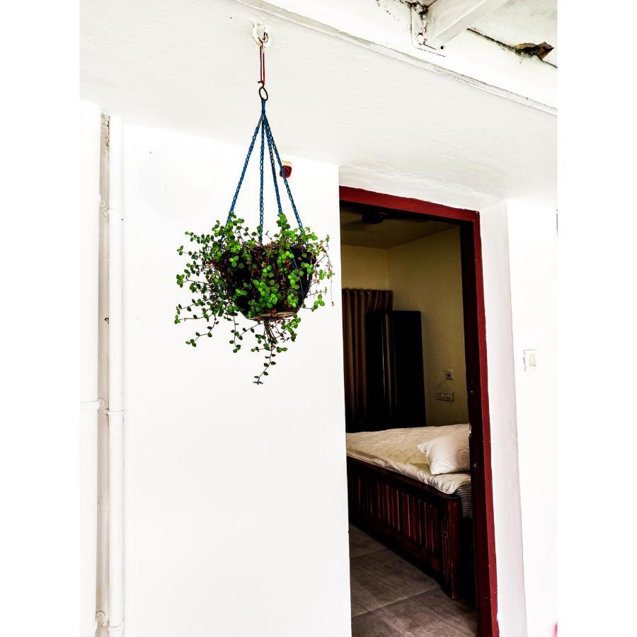 Nature Villa Kochi Alwaye Экстерьер фото